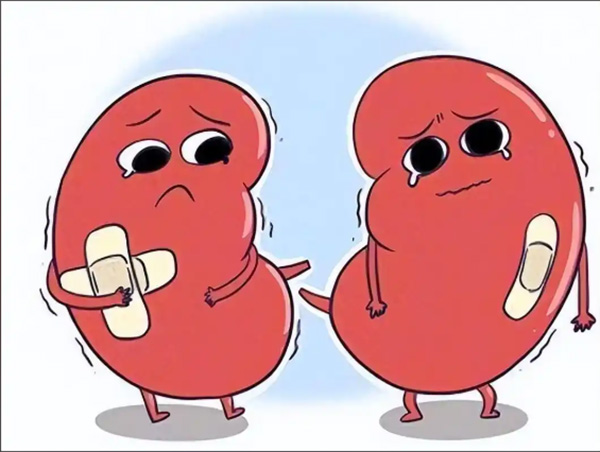 微信图片_2026-03-23_112746_150.jpg 微信图片_2026-03-23_112746_150.jpg