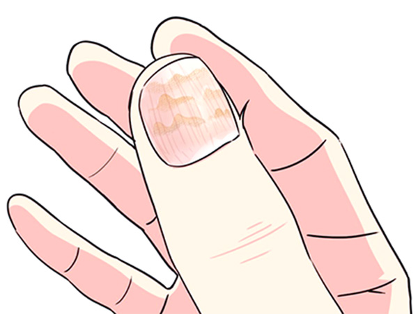 微信图片_2026-03-23_112757_359.jpg 微信图片_2026-03-23_112757_359.jpg